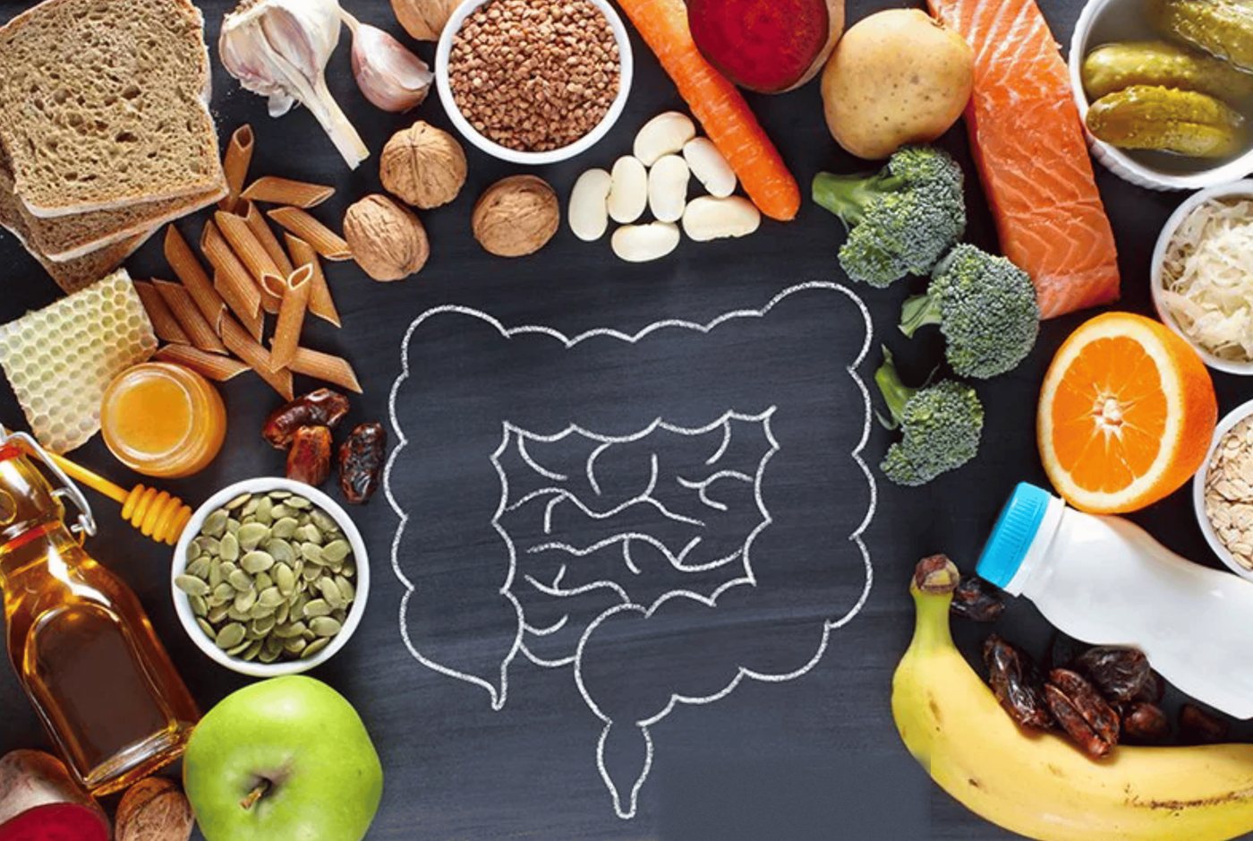 Gut-healthy foods such as salmon, broccoli, beans, nuts and fruit arranged around a chalk drawing of the digestive tract